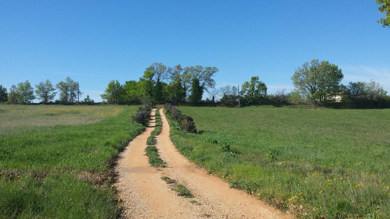 Studio Independant Douceur Provencale Montagnac  Εξωτερικό φωτογραφία